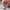 Red Harrington Jacket By Tacton “British Style”