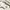Snow Peak Casual T-shirt Pria cream photo 8