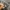 Heat Assist Thermal Heavyweight Blouson Camouflage Bomber  photo 7