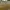 YELLOW SENSE photo 1
