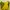 YELLOW SENSE photo 3