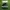 Adidas Gazelle II  photo 1