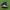 Adidas country  photo 2