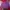 Minimalist Casual Polo shirt Pria burgundy photo 2