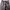 Baggy pants CAMO photo 8