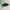 Converse Skater Sportswear Sneakers Pria Green