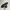 Converse Skater Sportswear Sneakers Pria green photo 5