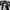 Converse Streetwear Sneakers Pria black photo 5