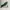 Converse Streetwear Sneakers Pria gray photo 5