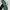Converse Streetwear Sneakers Pria gray photo 6