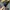 Kemeja oversize big size streetwear photo 3