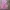Y2K Coquette Crop Top Wanita Pink