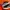Vans Casual Casual Shoe Pria Multicolor