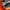Salomon Sportswear Casual Sneakers Pria multicolor photo 2