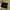 Black Wallet  photo 1