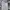 Jersey JUVENTUS 2018 3RD parley adidas photo 5