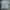 Genuine dickies pocket t shirt photo 5