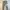 Tom browne Jogger Pants Rib 4 Bar stripe  photo 1