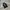 Stussy Streetwear Y2K T-shirt Pria black gray photo 4