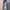 Jas Pria | Blazer | Formal | PARKLAND photo 5