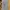 Supreme Sportswear Jersey Pria gold white photo 4