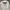 Harley Davidson Streetwear Leather jacket Wanita white photo 5