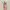 Floral Dress Bodycon photo 3