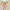 Floral Dress Bodycon photo 4