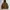 Carhartt WIP Active Jacket Unlined Hamilton Brown photo 1