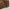 Carhartt WIP Active Jacket Unlined Hamilton Brown photo 2