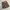 Carhartt WIP Single Knee Short Pant Verse Print Hamilton Bro photo 4