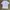 T-shirt Adidas  photo 1
