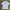 T-shirt Adidas 