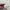 Lacoste Casual Formal shirt Pria multicolor photo 7