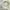 Stussy big logo low pro cap hat photo 4