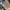 Obermain shoes leather loafers photo 5
