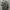 Crewneck Vintage Boston Herald photo 4