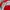 The North Face Gorpcore Track jacket Pria red photo 5