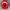 The North Face Gorpcore Track jacket Pria red photo 6