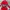 The North Face Gorpcore Track jacket Pria red photo 3