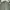 Casual Formal shirt Pria green photo 3