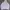 Uniqlo Sportswear Bodysuit Wanita Purple