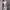 Grapich dress 2000s y2k photo 3