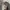 Vintage Current Stage Suede Tan Brown Harrington Flight Jack photo 5
