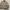 Vintage Current Stage Suede Tan Brown Harrington Flight Jack photo 2