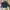 Adidas Bomber Jacket Full Zip Nyilon 2 in 1 photo 3