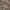 Aquascutum Corduroy Shirt Pattern Floral photo 5