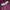 Spinalh Vest Double Zip photo 2