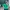 Minimalist Casual Crop Top Wanita Green