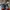 ARC’TERYX NORVAN LD TRAIL RUNNING SHOES ,  ARC’TERYX NORVAN  photo 2